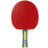 Joola Team Master Pro 2 Bats 3 Balls