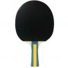 Joola Team Master Pro 2 Bats 3 Balls