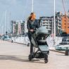 Thule Spring 2