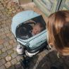 Thule Spring 2