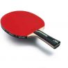Butterfly Ovtcharov Expert FL