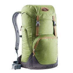 Deuter Walker 24 Pine Graphite