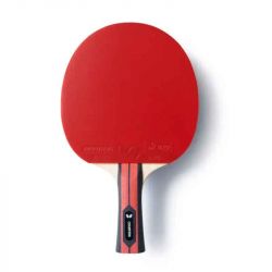 Butterfly Champion FL