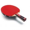Butterfly Champion FL