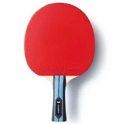Butterfly Challenger FL