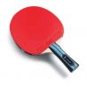 Butterfly Challenger FL