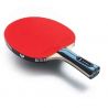 Butterfly Challenger FL