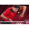 Butterfly Timo Boll Comfort FL