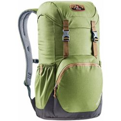 Deuter Walker 20 Pine Graphite