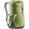 Deuter Walker 20 Pine Graphite