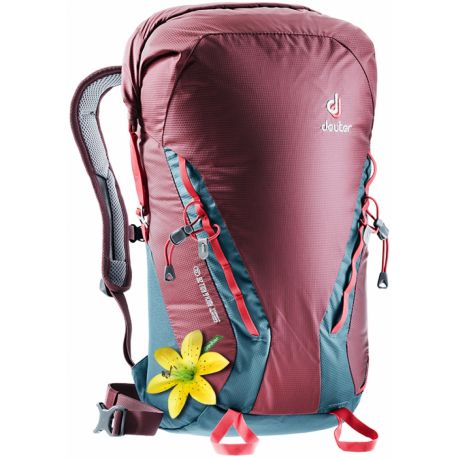 Deuter Gravity Rock&Roll 28 SL (Maron Arctic)