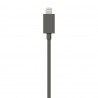 Incase Mini Car Charger with Lightning cable Charcoal