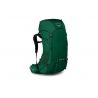 Osprey Rook 50 (Mallard Green)