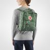 Fjallraven Kanken Art (Green Fable)