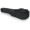 Gator GT-Acoustic-Blk