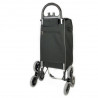 Aurora Sanremo 68 (Black/Flower)