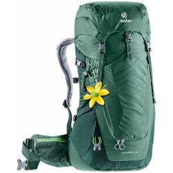 Deuter Futura 24 SL (Seagreen Forest)