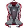 Deuter Futura 24 (Clay Ivy)