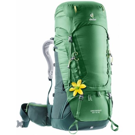 Deuter Aircontact 60+10 SL (Leaf Forest)