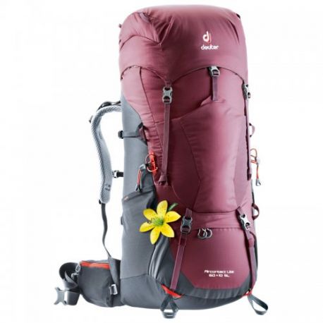 Deuter Aircontact Lite 60+10 SL (Maron Graphite)