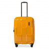 Epic Crate EX Solids M (Zinnia Orange)