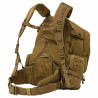 Red Rock Diplomat 52 (Coyote)