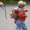 Little Life Animal Toddler (Dinosaur)