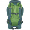 Kelty Redwing 32 (Ponderosa Pine)