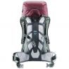Deuter Rise Lite 26 SL (Maron Ivy)