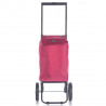 Epic City X Shopper Evolution 33 (Plum)