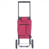 Epic City X Shopper Evolution 33 (Plum)