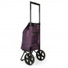 Epic City X Shopper Evolution 33 (Blackberry Wine)