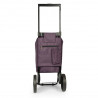 Epic City X Shopper Evolution 33 (Blackberry Wine)