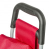Epic City X Shopper Classic 40 (Chili Red)