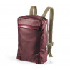 Brooks Pickzip 20L (Chianti/Maroon)