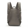 Pacsafe Cruise Anti-Theft Essentials Backpack (Ashwood)