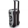 Nanuk 935 (Silver) Foam 6UP Pistol Case