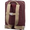 Brooks Pickzip 20L (Chianti/Maroon)