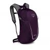 Osprey Daylite 13 (Amulet Purple)