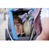 Hamax Avenida Twin (Lime)