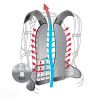 Deuter Superbike 14 EXP SL (Maron Cardinal)