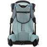 Thule Sapling Child Carrier (Black)
