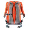 Deuter Walker 24 (Paprika Arctic)