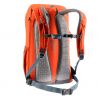 Deuter Walker 24 (Paprika Arctic)