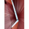 Deuter Race EXP Air 14+3 (Redwood Paprika)