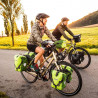 Ortlieb Back-Roller Plus 20 (Lime-Moss Green)