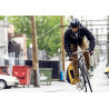Ortlieb Vario 23 (Mustard)