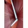 Deuter Race X (Redwood Paprika)
