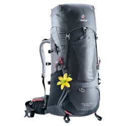 Deuter Aircontact Lite 45+10 SL (Graphite Black)