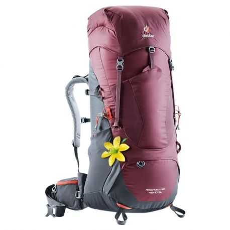 Deuter Aircontact Lite 45+10 SL (Maron Graphite)